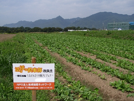 畑