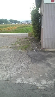 befor