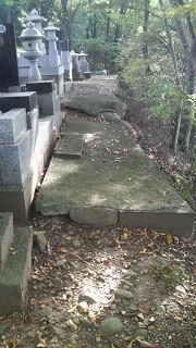 墓地施工前.jpg